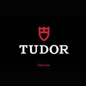 Tudor Repair