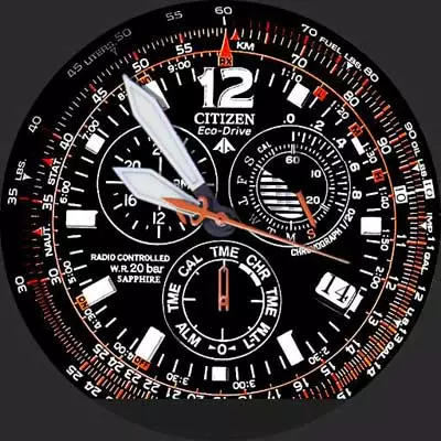 Citizen Watch Repair